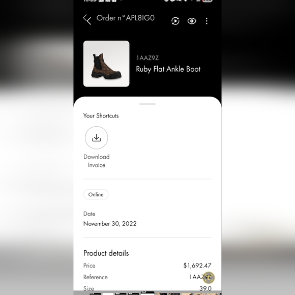 Louis Vuitton Ruby Ranger - Monogram - Picture 2 of 14